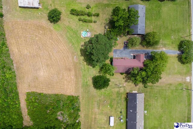1521 Hibiscus Rd, Timmonsville, SC 29161 - photo 31