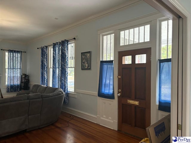 entrance foyer featuring dark hardwood / wood-style flooring, plenty of natural light, and ornamental molding