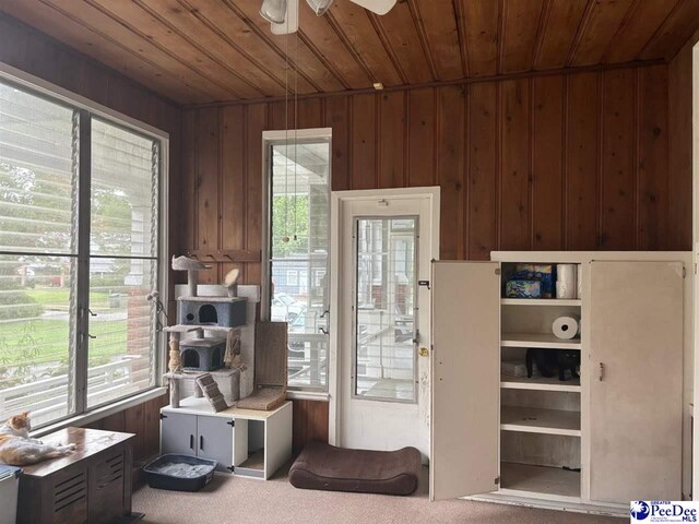 entryway with carpet, a healthy amount of sunlight, wooden ceiling, and wooden walls