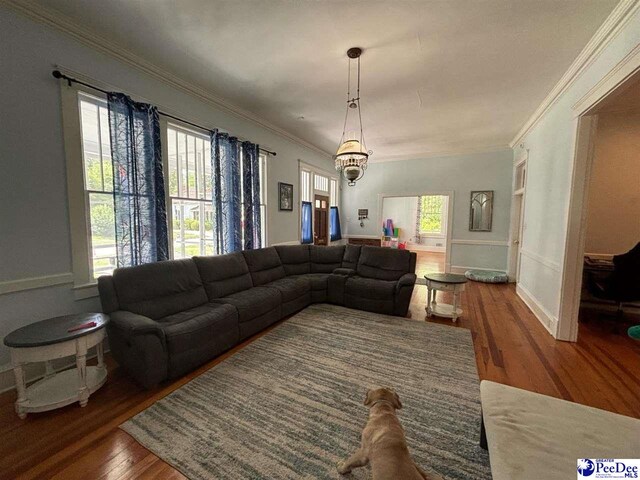 living room with hardwood / wood-style floors, a wealth of natural light, and ornamental molding