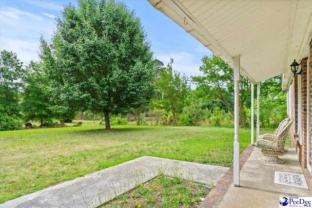view of grassy yard