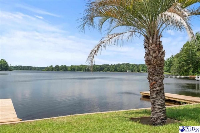 942 N Fifth St, Hartsville, SC 29550 - photo 41