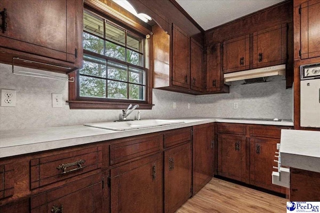 kitchen featuring sink, stovetop, tasteful backsplash, light hardwood / wood-style floors, and oven