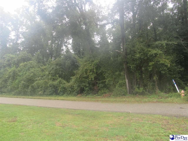 1211 Day St, Florence SC, 29506 land for sale