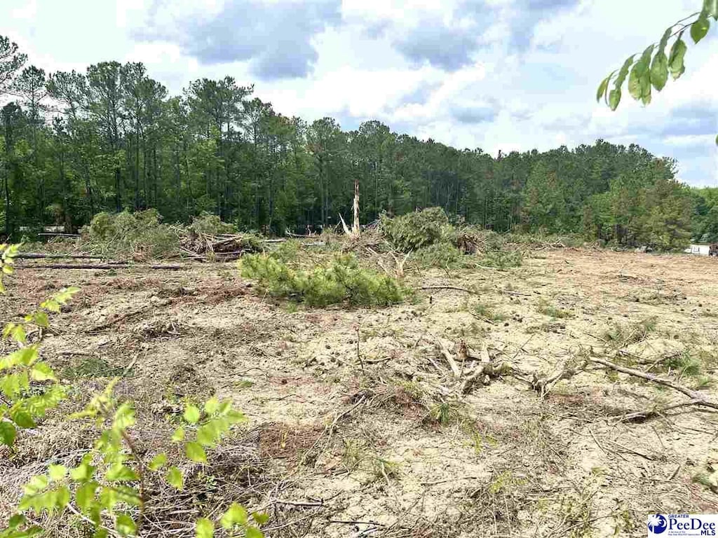 2211 Old Charlesron Dr, Scranton, SC 29591