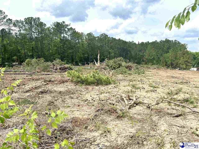 2211 Old Charlesron Dr, Scranton, SC 29591