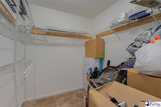 walk in closet featuring light carpet