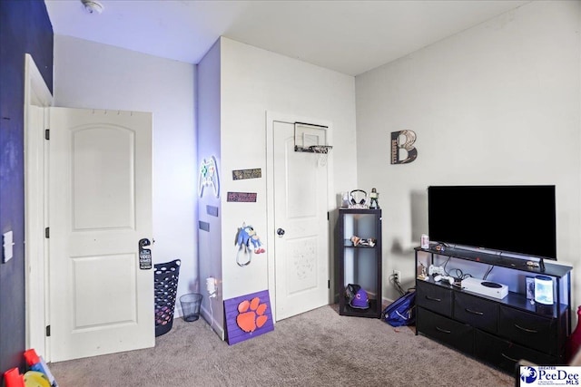 3018 Red Berry Cir, Effingham, SC 29541 - photo 21