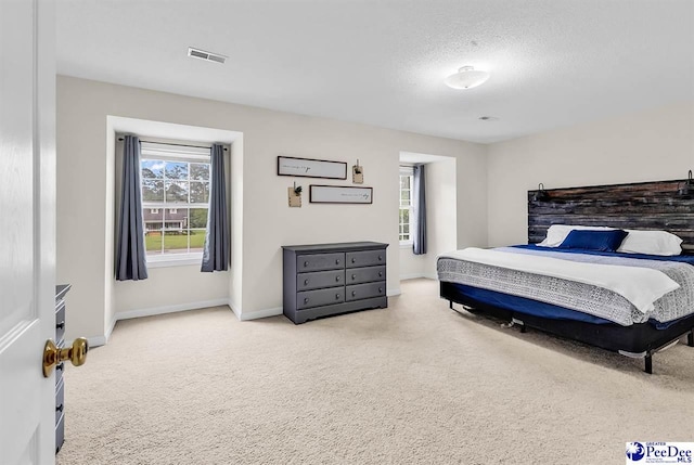 108 Wyandot St, Darlington, SC 29532 - carpeted bedroom with multiple windows and a textured ceiling