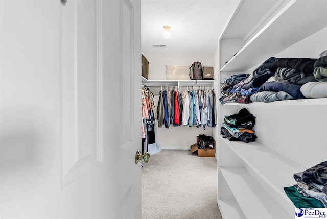 108 Wyandot St, Darlington, SC 29532 - spacious closet with carpet floors