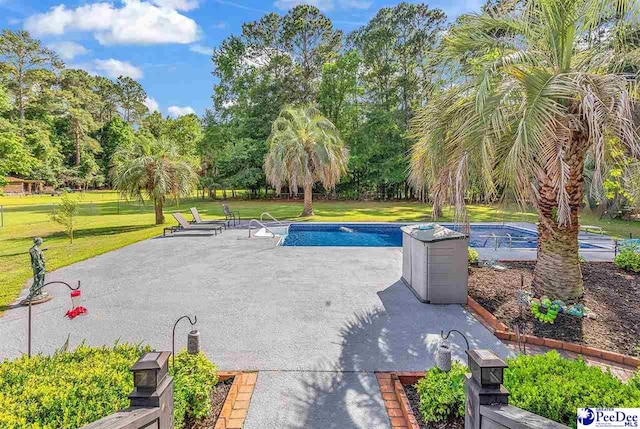 108 Wyandot St, Darlington, SC 29532 - outdoor pool featuring a lawn, a patio area, and view of scattered trees