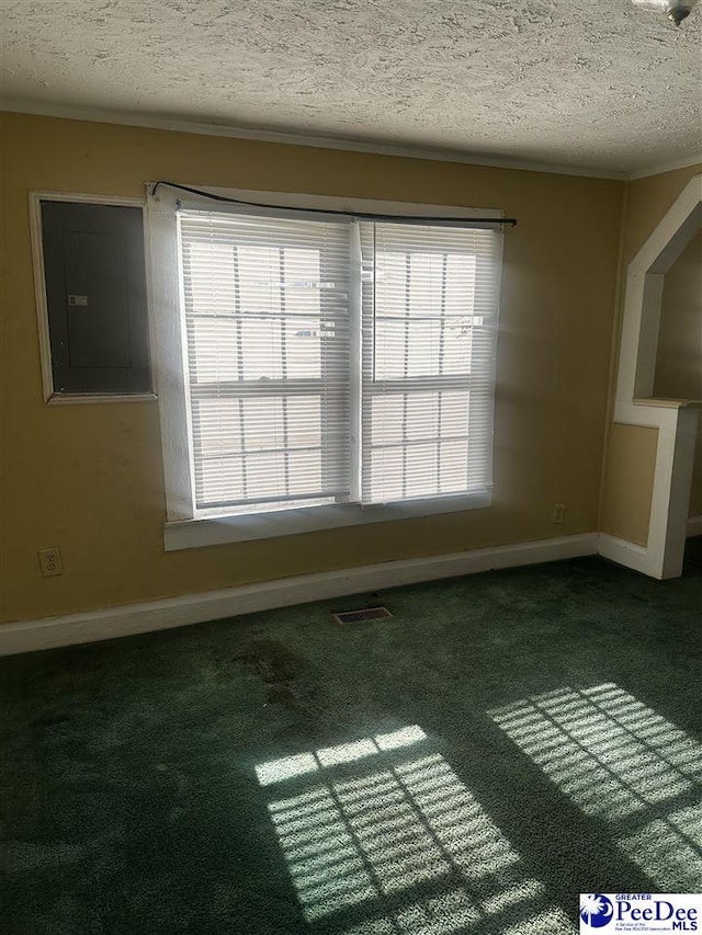 empty room featuring a textured ceiling, carpet floors, and a wealth of natural light