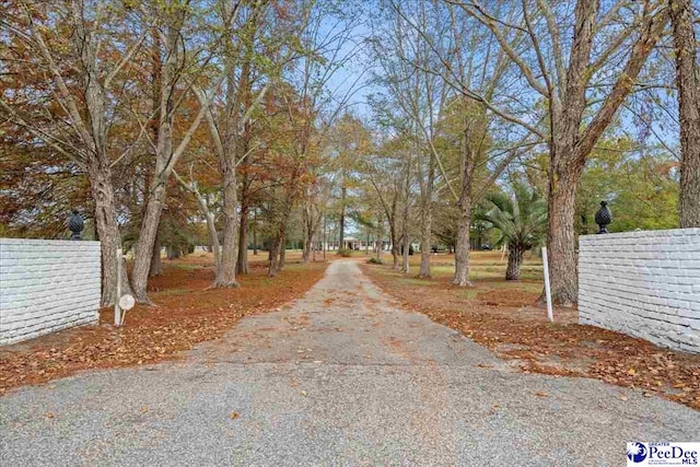 view of road