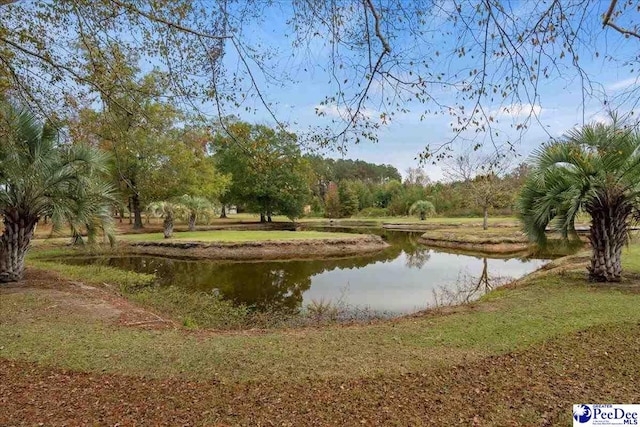 surrounding community featuring a water view