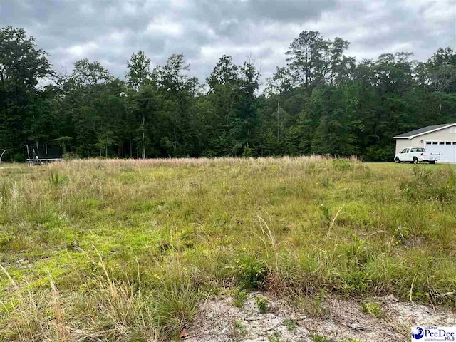 Listing photo 2 for TBD Wildshall, Darlington SC 29532