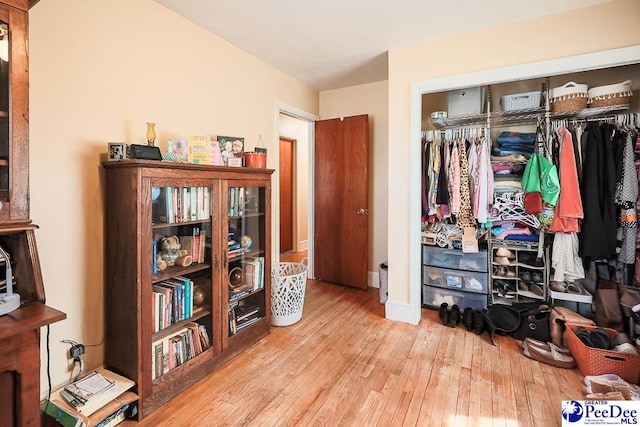 interior space with wood-type flooring, baseboards, and a closet