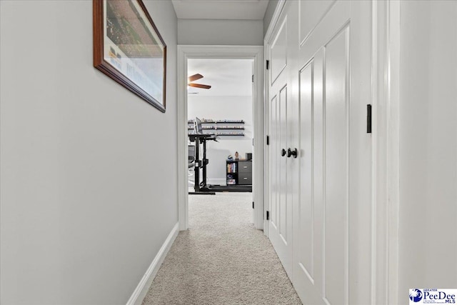 hall featuring carpet and baseboards