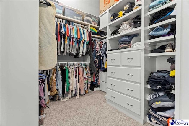 spacious closet with carpet flooring