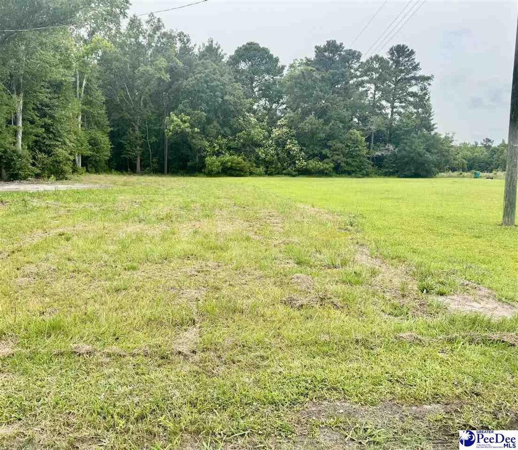 523 E Main St, Timmonsville, SC 29161 - photo 2