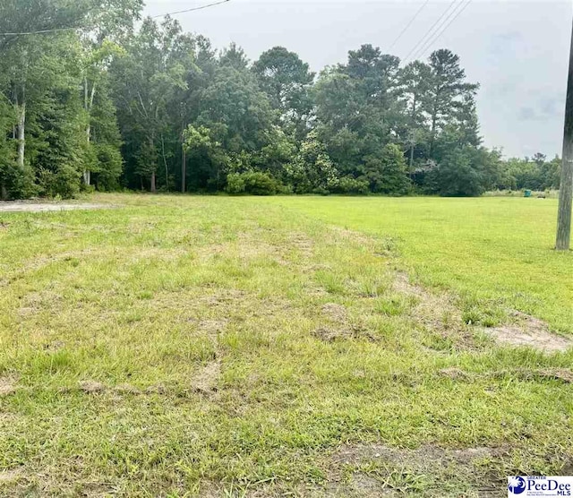 523 E Main St, Timmonsville, SC 29161 - photo 2