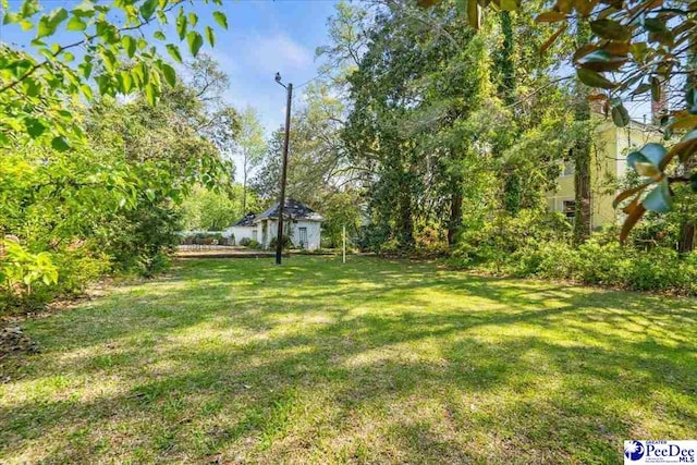 view of yard