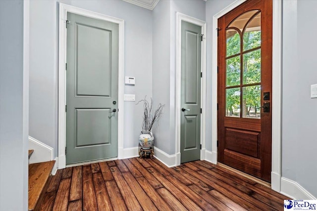 entrance foyer featuring dark hardwood / wood-style flooring