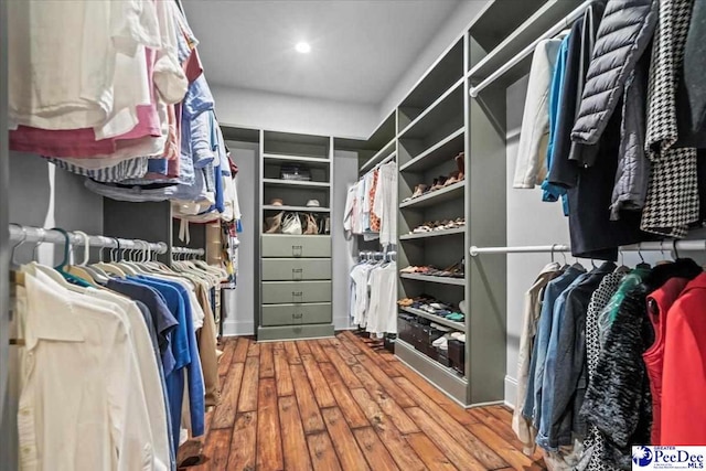 spacious closet with wood-type flooring