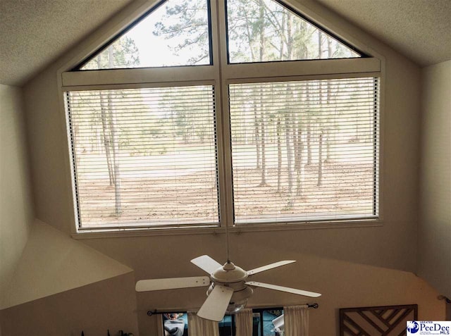 room details with a textured ceiling and a ceiling fan
