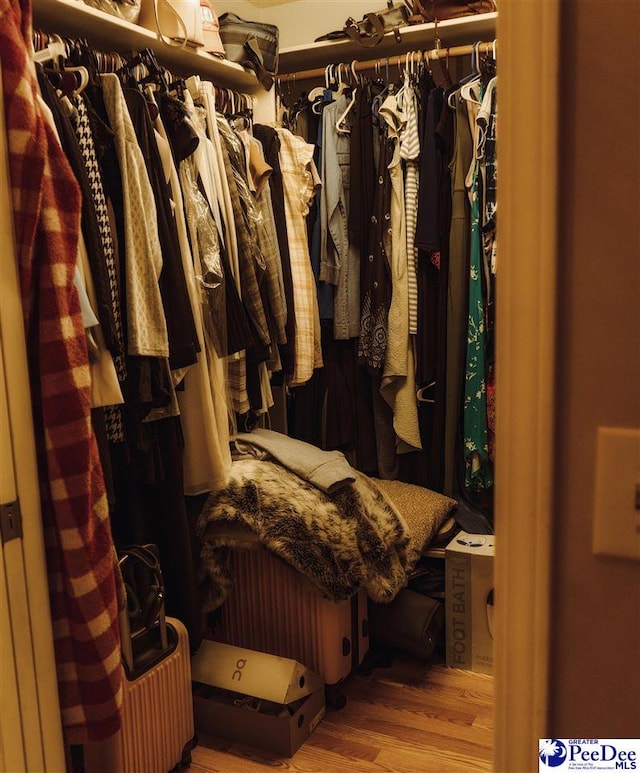 walk in closet with wood finished floors