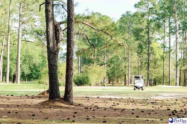 surrounding community featuring a yard