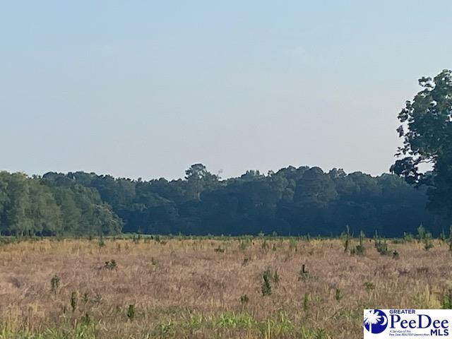 700 Turnpike Rd, Florence, SC 29501 - photo 25