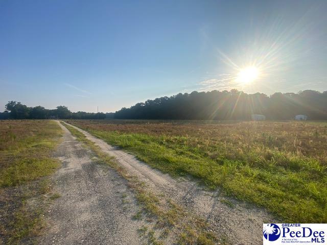 700 Turnpike Rd, Florence, SC 29501 - photo 23