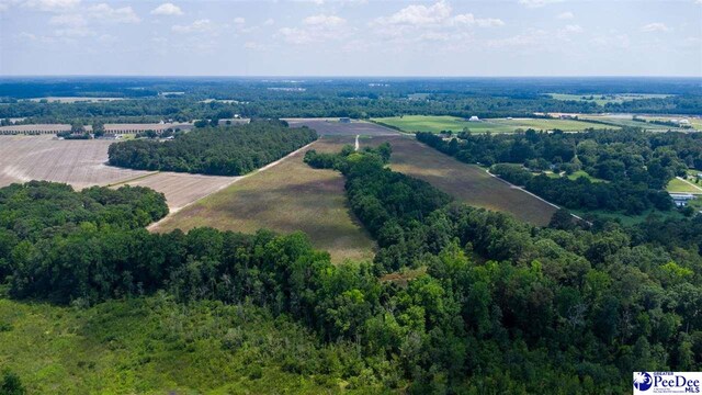 700 Turnpike Rd, Florence, SC 29501 - photo 17