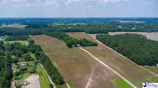 700 Turnpike Rd, Florence, SC 29501 - photo 8
