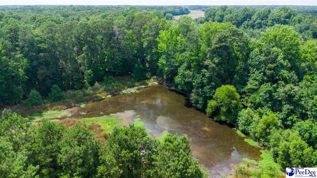 700 Turnpike Rd, Florence, SC 29501 - photo 10