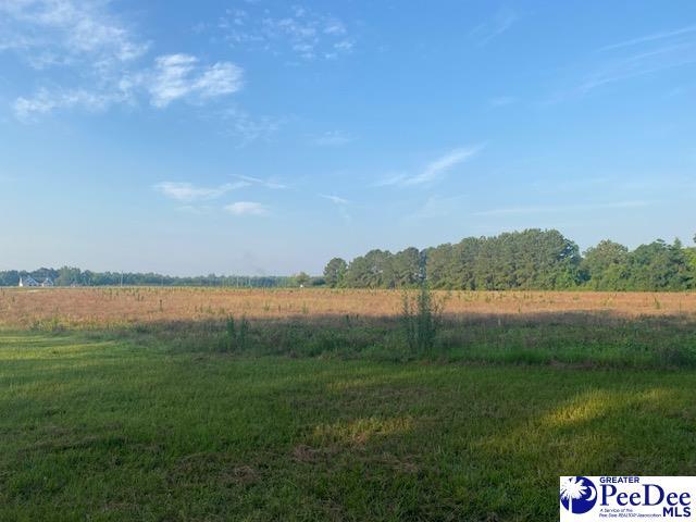 700 Turnpike Rd, Florence, SC 29501 - photo 33