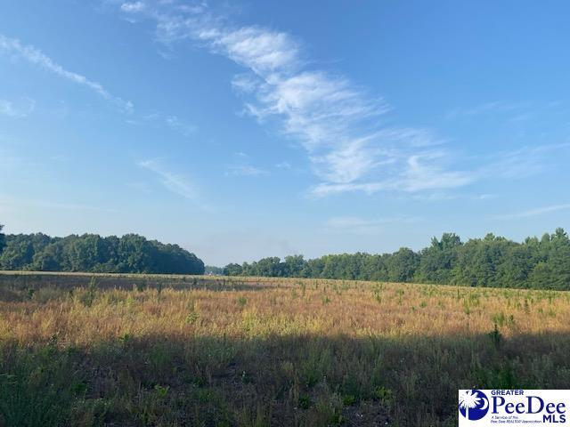 700 Turnpike Rd, Florence, SC 29501 - photo 38