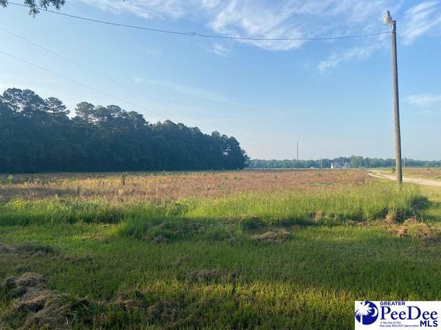 700 Turnpike Rd, Florence, SC 29501 - photo 34