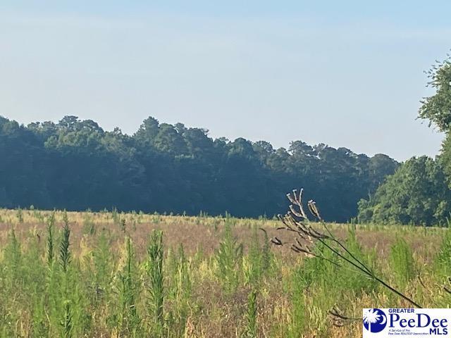 700 Turnpike Rd, Florence, SC 29501 - photo 40