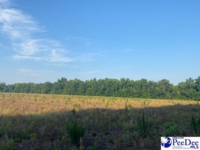 700 Turnpike Rd, Florence, SC 29501 - photo 39