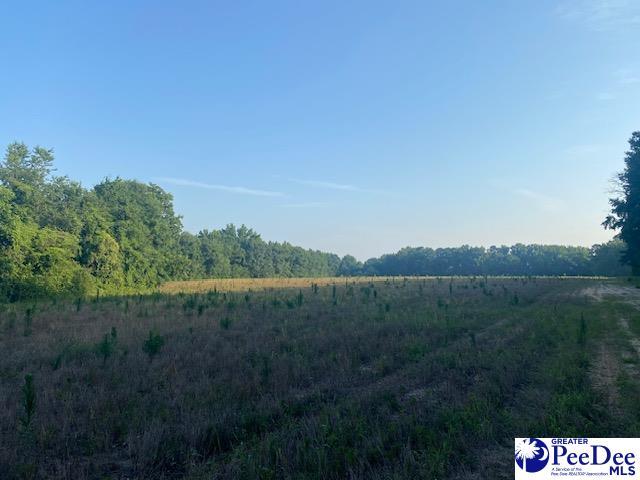 700 Turnpike Rd, Florence, SC 29501 - photo 35