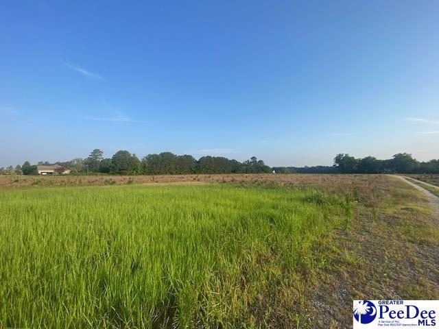 700 Turnpike Rd, Florence, SC 29501 - photo 22