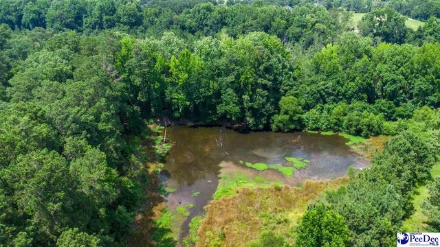 700 Turnpike Rd, Florence, SC 29501 - photo 12