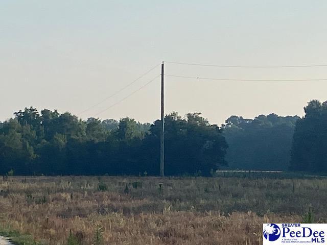700 Turnpike Rd, Florence, SC 29501 - photo 26