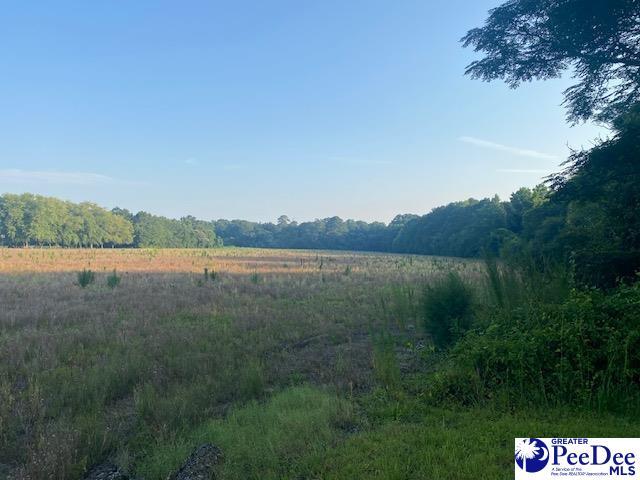 700 Turnpike Rd, Florence, SC 29501 - photo 32