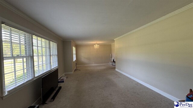 103 Fulton Rd, Darlington, SC 29532 - photo 10