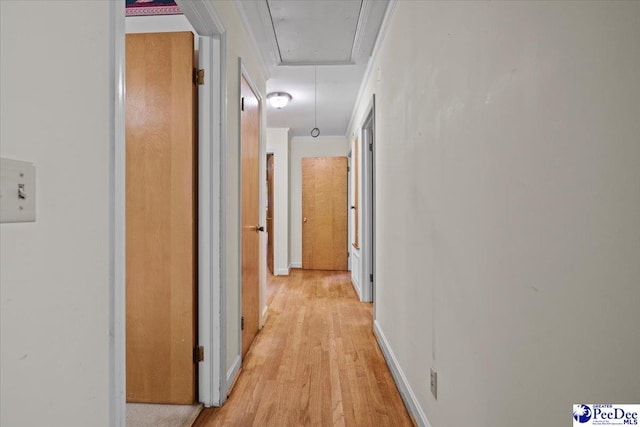 1817 E Sandhurst Dr, Florence, SC 29505 - hall featuring attic access, light wood-type flooring, and crown molding