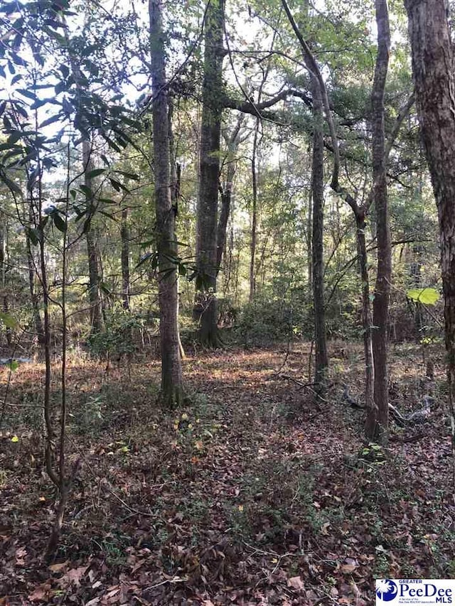 TBD Pineview St, Darlington SC, 29532 land for sale