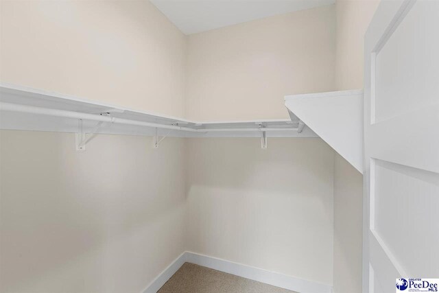 319 Railroad Ave, Florence, SC 29506 - view of spacious closet