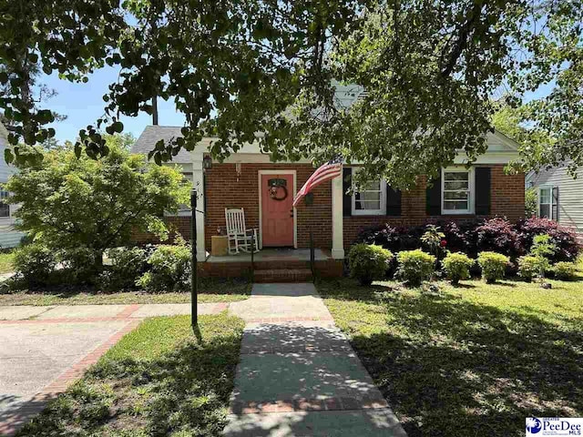 916 Kalmia St, Florence, SC 29501 - view of property hidden behind natural elements with brick siding and a front lawn